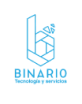 Binar10 – Tecnología & Servicios