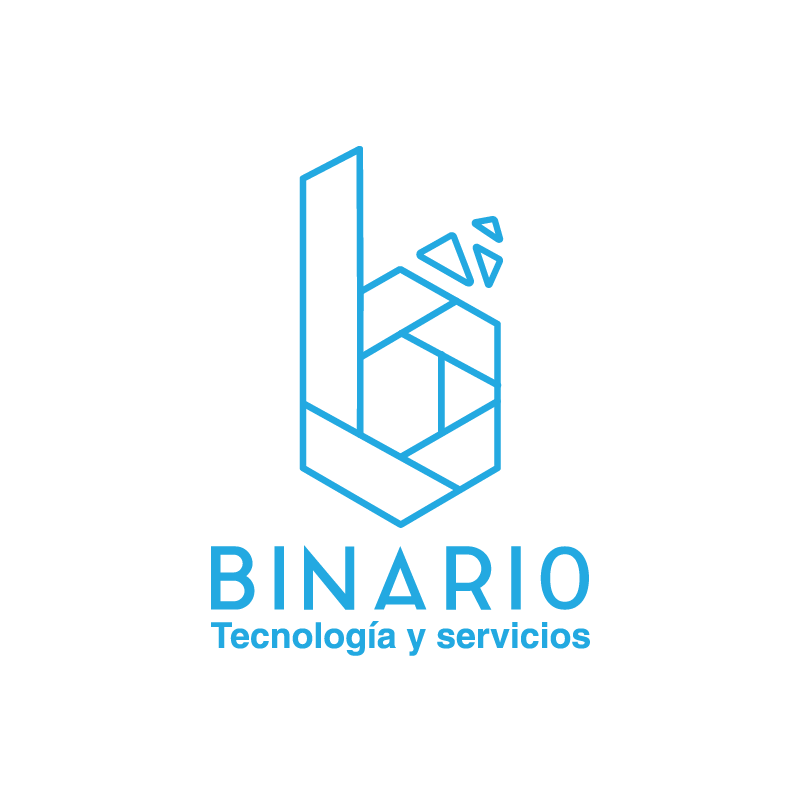 Binar10 – Tecnología & Servicios